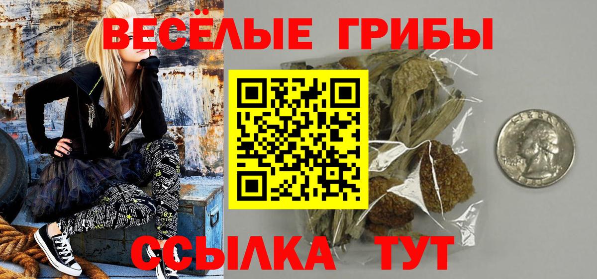 Псилоцибиновые грибы прущие грибы Реж
