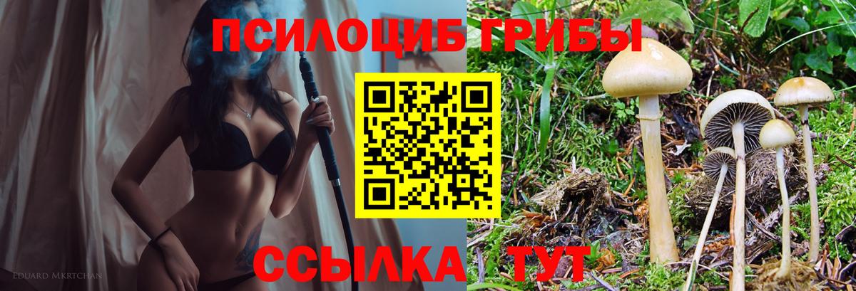 цена   Псилоцибиновые грибы мицелий  Вход с VPN  Реж 